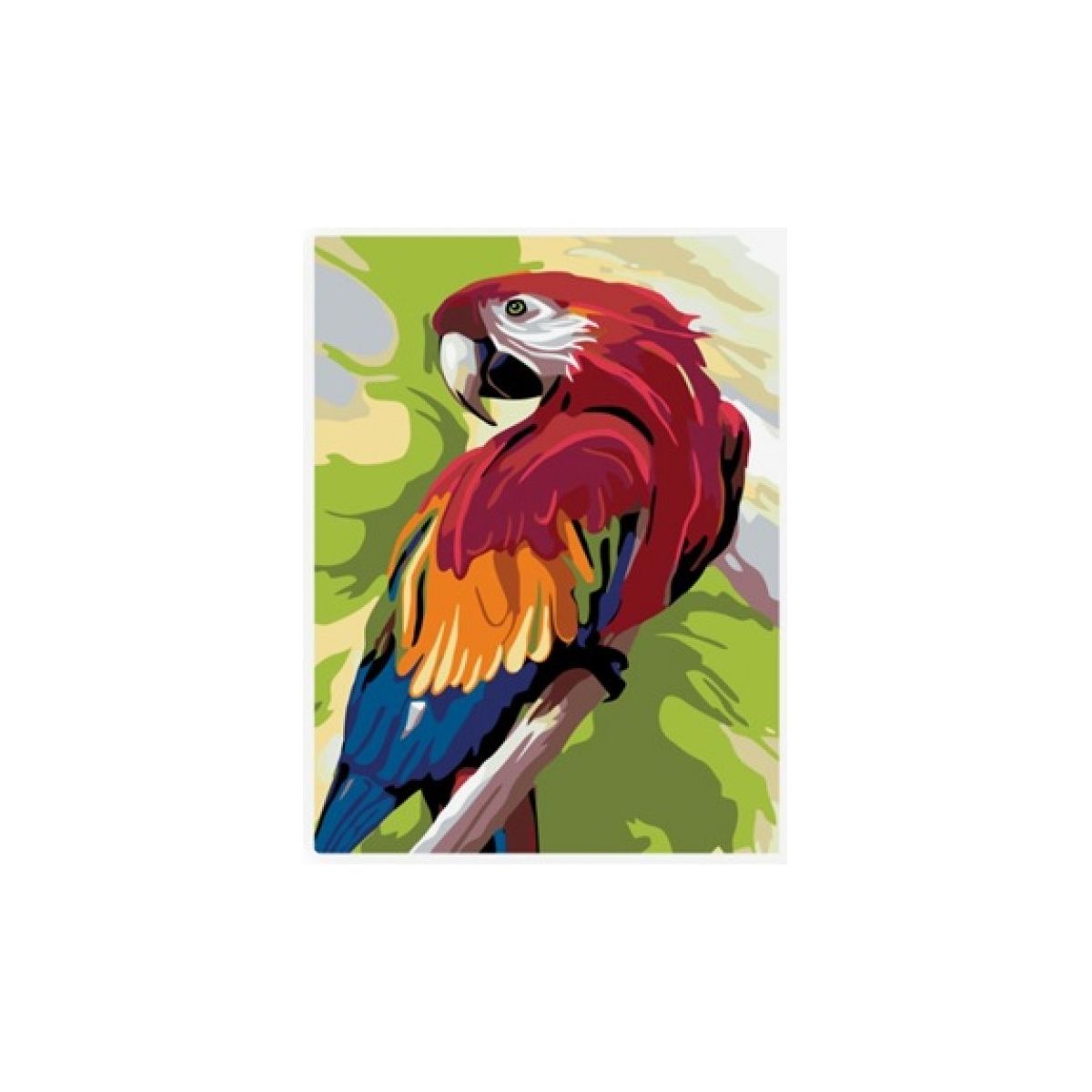 Zestaw kreatywny Norimpex malowanie po numerach - papuga 30x40cm (NO-1007585)