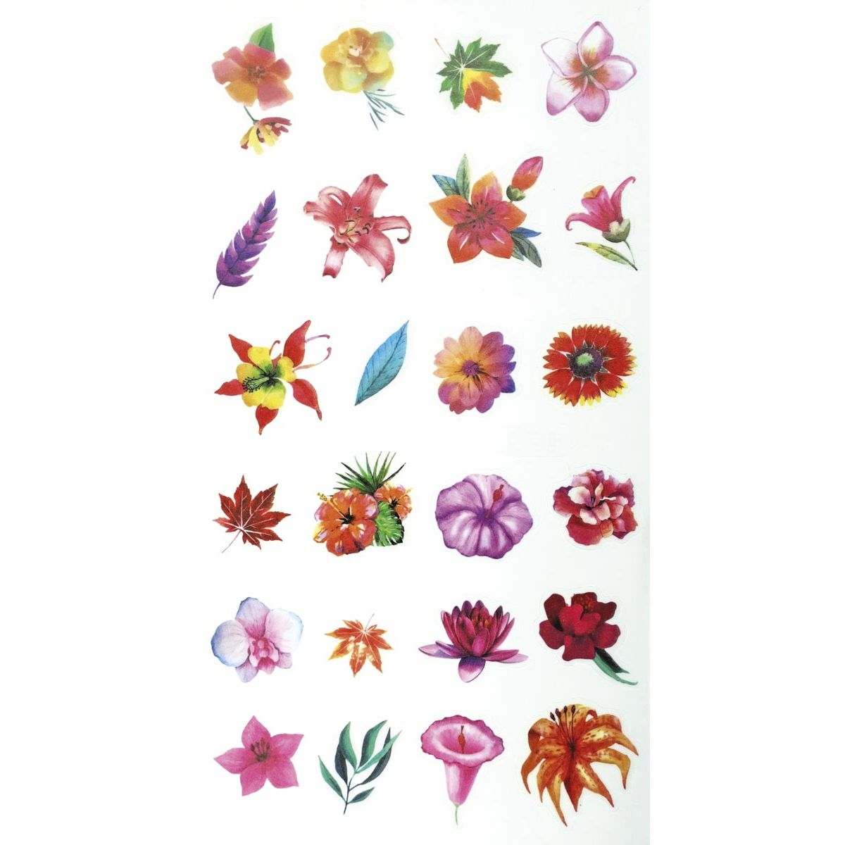 Naklejka (nalepka) Craft-Fun Series Kwiaty Titanum (FZH FLOWERS2)