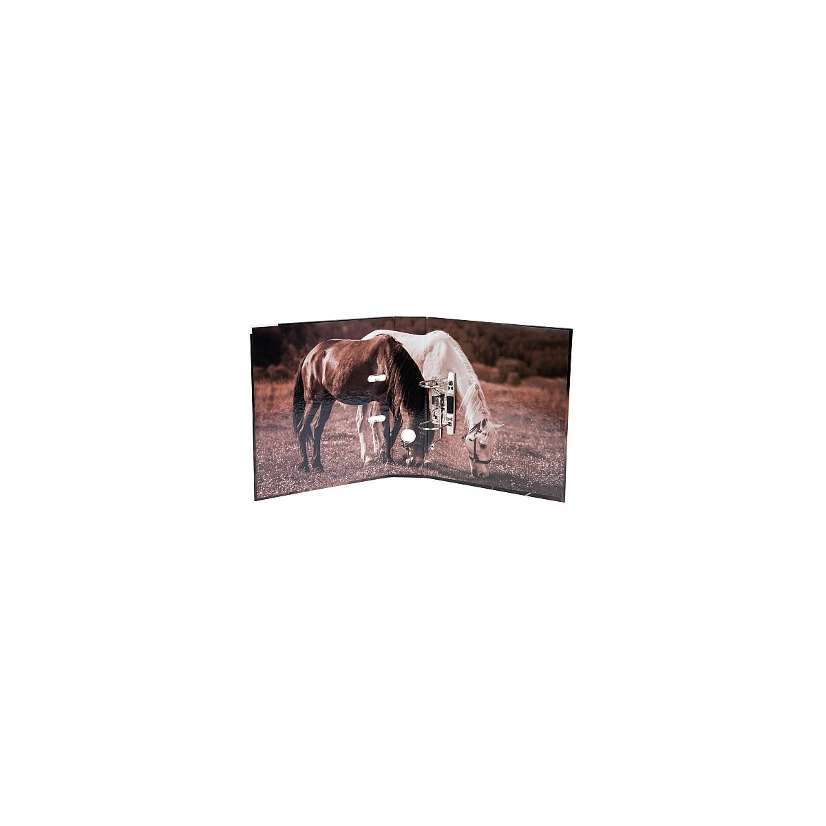 Segregator dźwigniowy Starpak konie A4 70mm mix (390673)