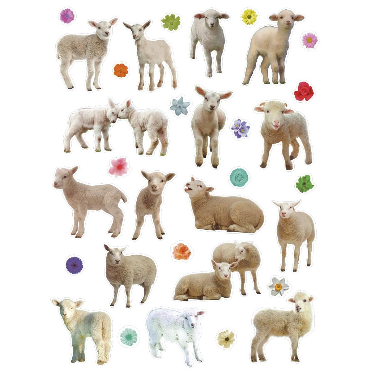 Naklejka (nalepka) Craft-Fun Series Sheep Titanum