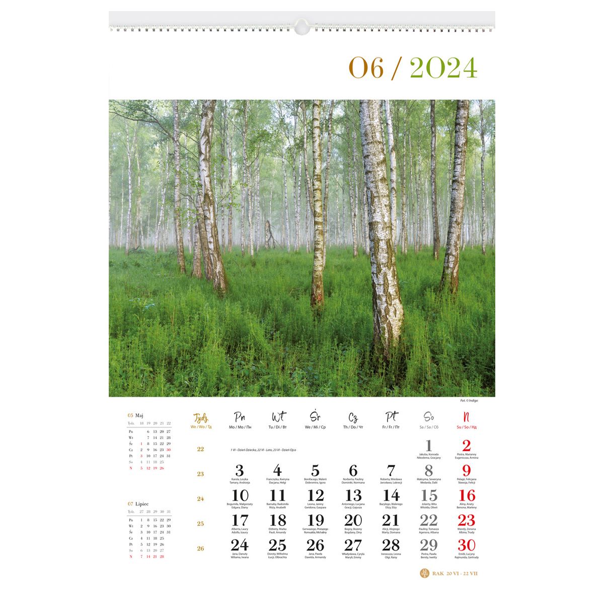 Kalendarz ścienny Lucrum LASY POLSKIE 13-planszowe 2024 320mm x 470mm (RW04)