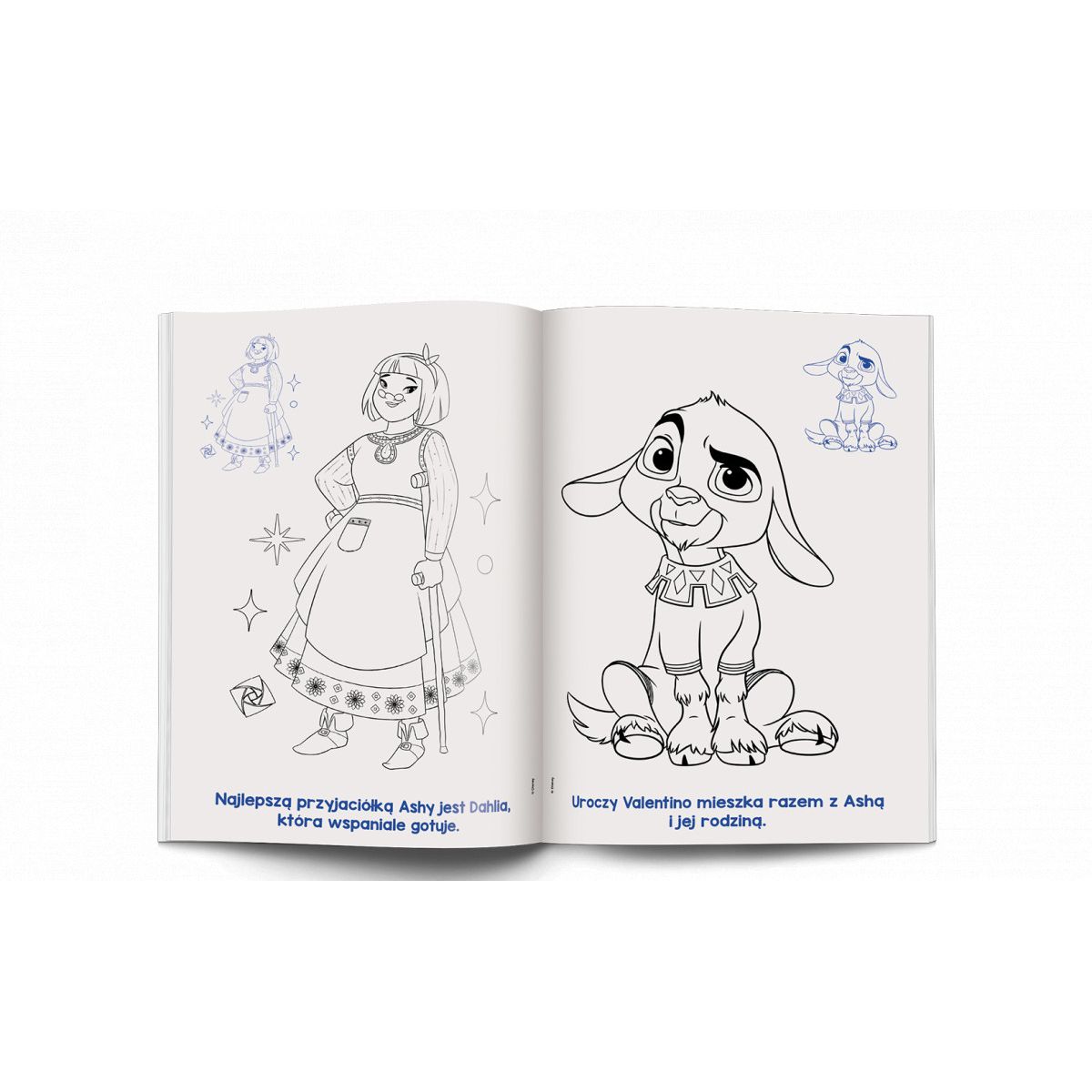 Książka dla dzieci Kolorowanka z Naklejkami NA-9132 Ameet