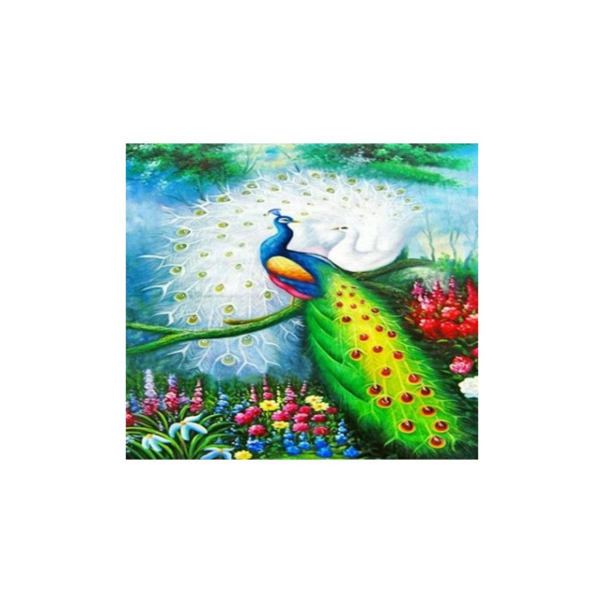 Zestaw kreatywny Norimpex Diamentowa mozaika kolorowy paw 40x30cm (NO-1005258)