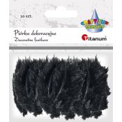 Piórka Titanum Craft-Fun Series czarne 20 szt (0050-15)