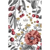 Brulion Bloom book Astra