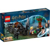 Klocki konstrukcyjne Lego Harry Potter Testrale i kareta Hogwartu (76400)