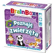 Gra edukacyjna Rebel BrainBox poznaję zwierzęta (5902650616684)