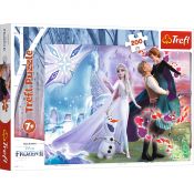 Puzzle Trefl Frozen 2 Magiczny świat sióstr 200 el. (13265)