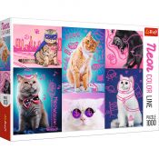 Puzzle Trefl Super cats Neon Color Line 1000 el. (10581)